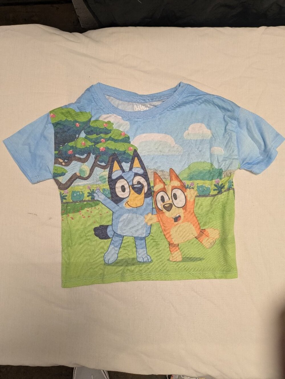 Bluey Short Sleeve Kids Tee in Light Blue & Green - Official Character Graphic
